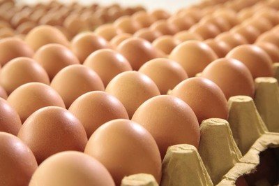 肇庆鸡蛋检测价格,鸡蛋检测机构,鸡蛋检测项目,鸡蛋常规检测